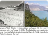 muir-glacier-1941-to-2004