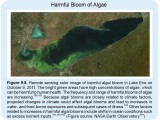 lake_erie_harmful_algae_bloom